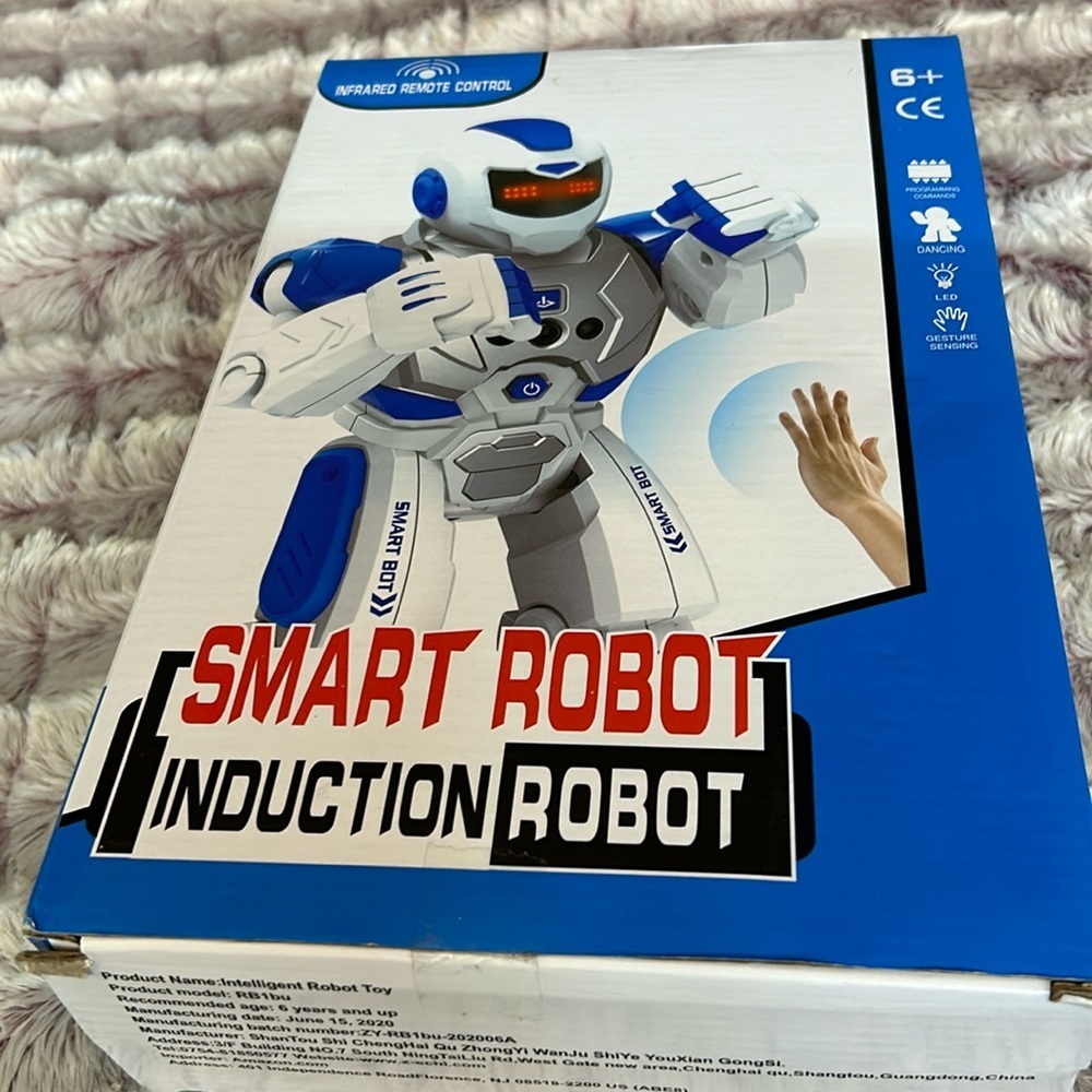 Smart Robot Remote Control   Induction Rebot